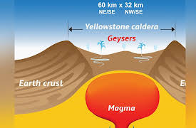Introduction to Paleontology: Paleontology and the Future of Earth