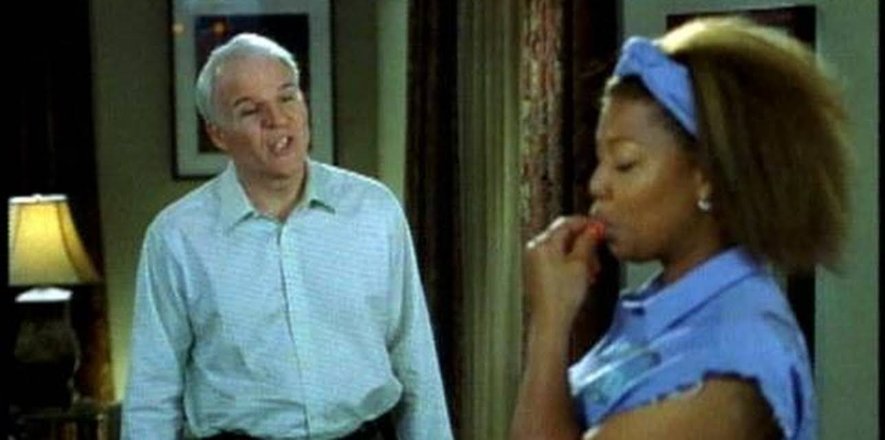 Bringing Down the House (2003)