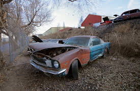 Roadkill's Junkyard Gold, Season 1: Four-Speed Mercury Cougar, and More in Denver, CO