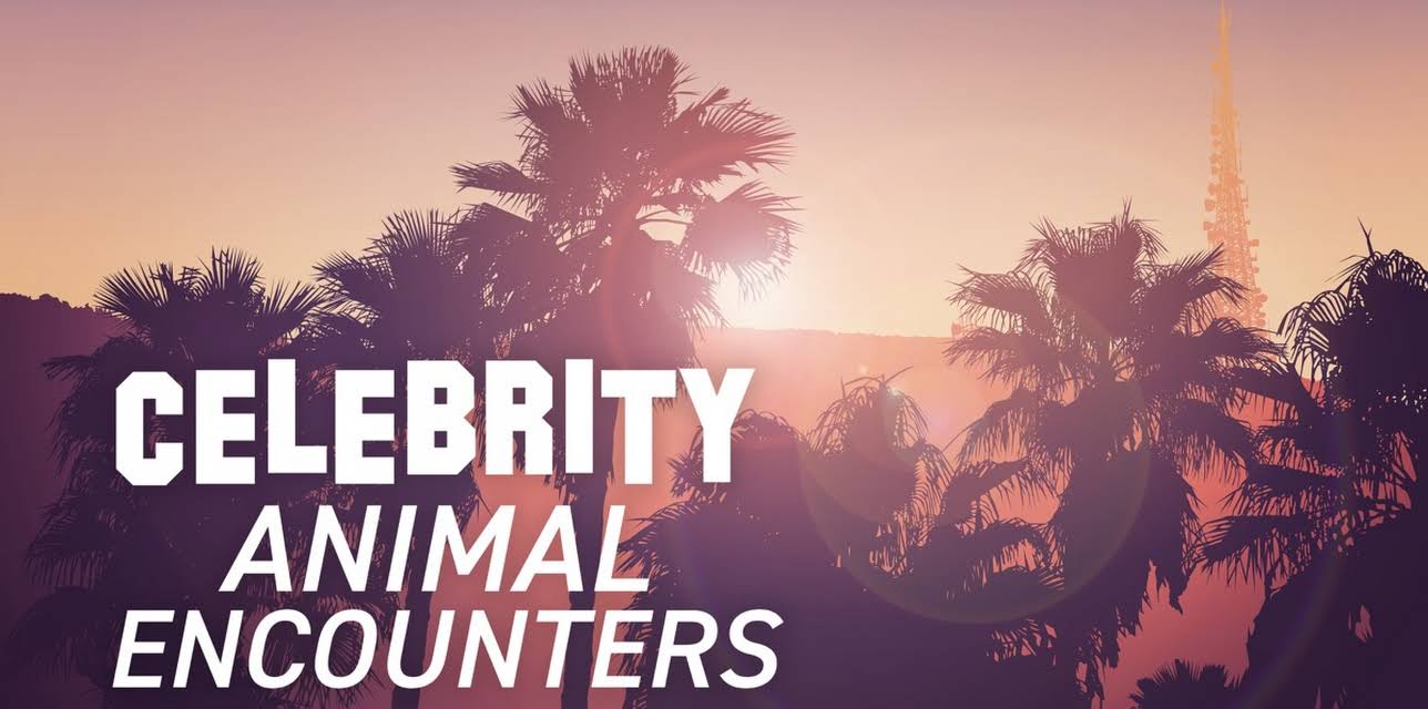 Celebrity Animal Encounters