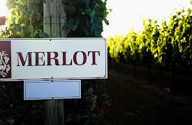 The Everyday Guide to Wines of California: Big, Bold Reds - Cabernet Sauvignon and Merlot