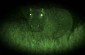 Night Season 1: Hippos