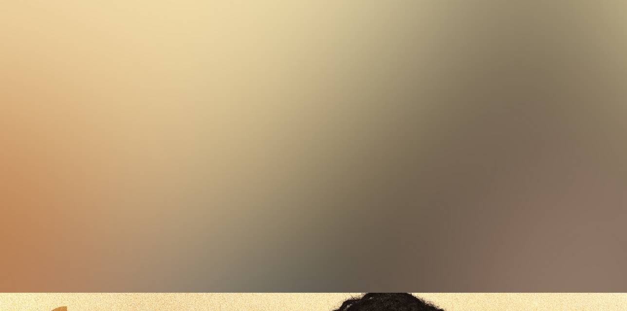 Som Brasil apresenta: Djavan