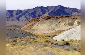 Doug's Geology Journal: An Army of Caterpillars