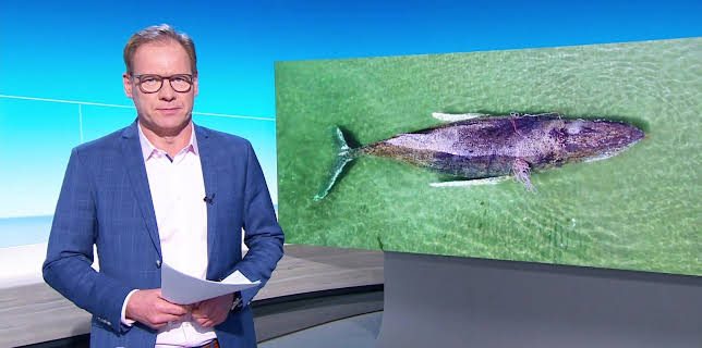 09:00: Nordmagazin | NDR Fernsehen | 3/24 2026