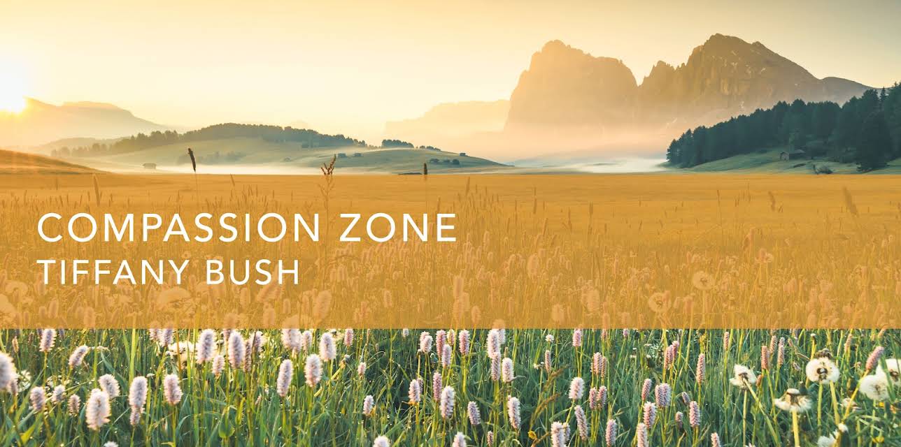 Compassion Zone (2024)