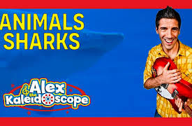 Alex & The Kaleidoscope: ANIMALS - SHARKS