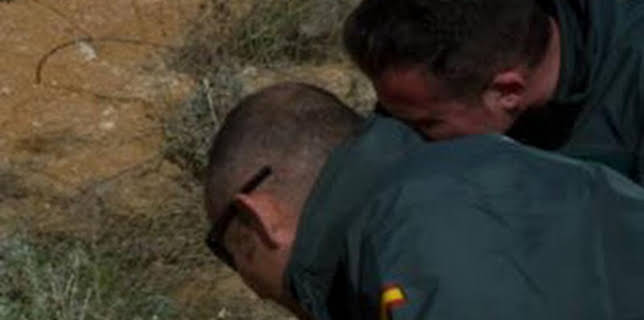 08:14: Seprona en acción: Episodio 15 | Discovery Max | 2/19 2026