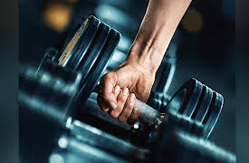 How We Move: The Gross Anatomy of Motion: The Complexity of the Forearm and Wrist