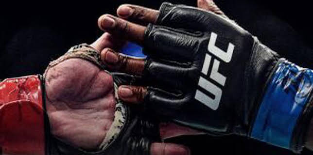 UFC 298: Volkanovski vs Topuria (T2024): Alexander Volkanovski vs Ilia Topuria