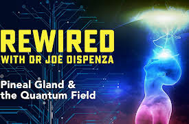 Rewired: Pineal Gland & the Quantum Field