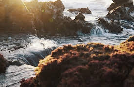 Venuso na Terra: Water