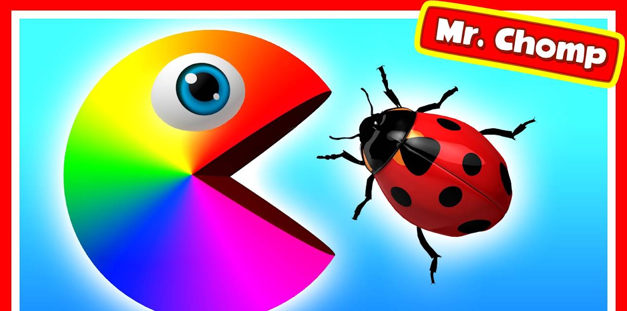 Mr. Chomp