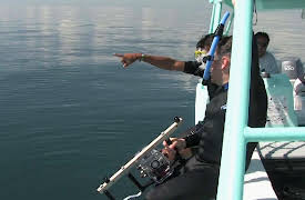 Shark Dive TV: Whale Sharks in Mexico