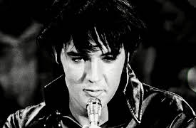 Case Closed: Elvis Lives