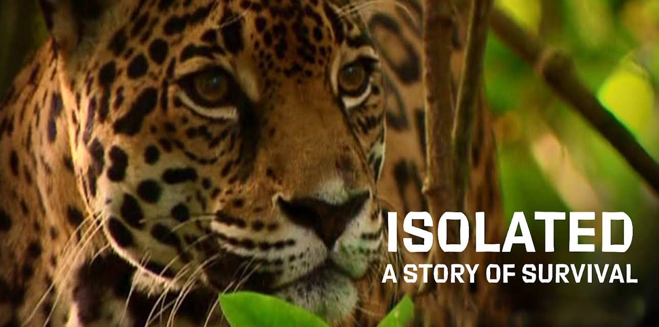 Isolated: A Story of Survival