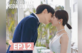 Accidentally Meow on You: Accidentally Meow on You EP12