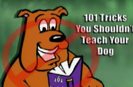 Funniest Pets and People: If You're Happy and You Know It