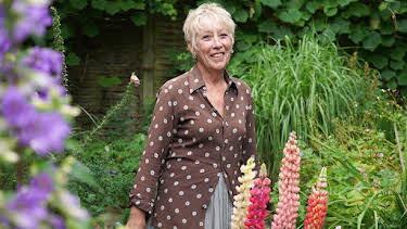 2:25 PM: Carol Klein's Summer Gardening (S1 E5) (S1) | Channel 5 | 6/20 2026