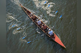 The Psychology of Performance: How to Be Your Best in Life: Four Qualities of a Successful Team