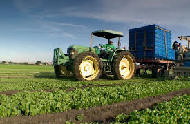 How Cities Work: Food Fights