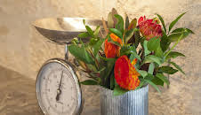 Fixer Upper: Umbauen, einrichten, einziehen!