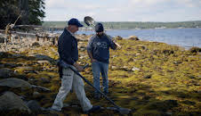 Die Schatzsucher von Oak Island