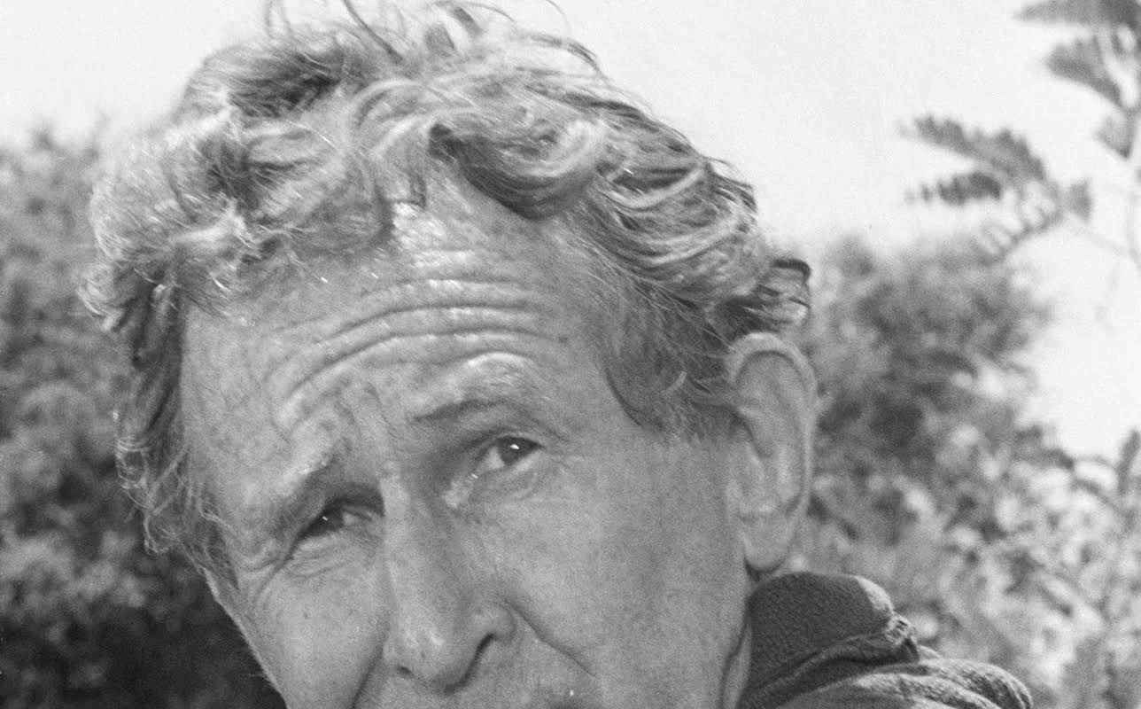 Doodles Weaver