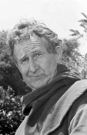 Doodles Weaver as 