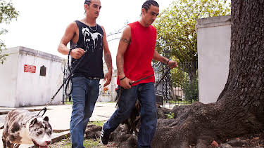 07:40: Pit Bulls & Parolees (S4 E12) (S4) | Animal Planet | 5/23 2026