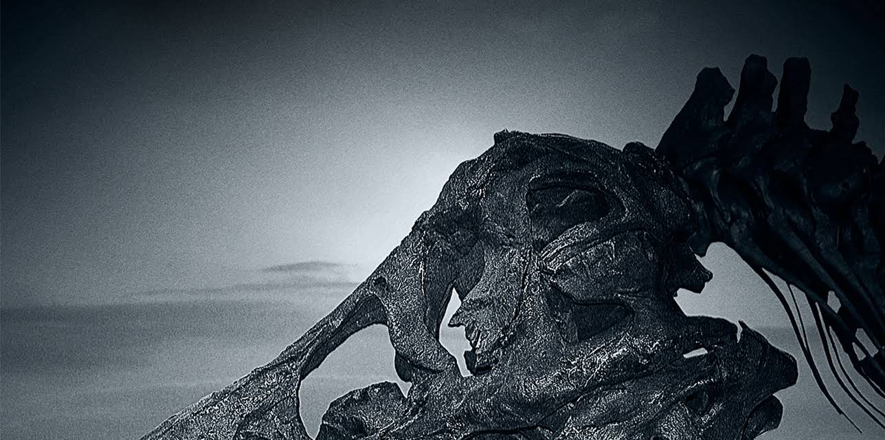 Dinosaur 13 (2014)
