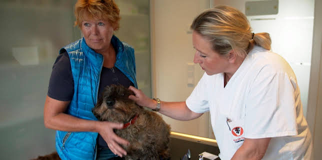 07:15: Die Tierärzte - Retter mit Herz (55) | Radio Bremen | 11/9 2025