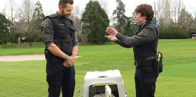 7:30 PM: New: Animal Control | E4 | 11/24 2025