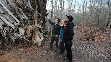 17:00: Treehouse Masters (S5 E11) (S5) | Animal Planet | 5/17 2026