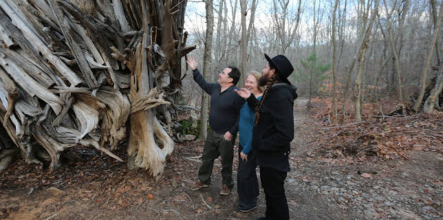 14:00: Hus i tretoppene (S5 E11) (S5) | Animal Planet | 1/26 2026