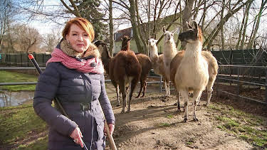 07:15: Unterwegs in Sachsen | MDR Fernsehen | 2/16 2026