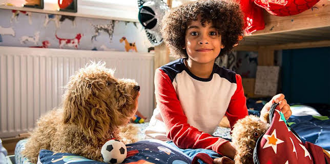 12:45 PM: Waffle the Wonder Dog (S1) | Cbeebies | 1/19 2026