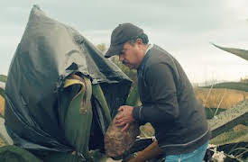 Tacons historia: Barbacoa