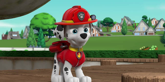 10:15: Paw Patrol: Ensom hvalross / Hummi-Gummi | NRK Super | 11/8 2025