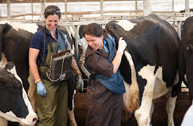 Life at Vet University: Episode 5