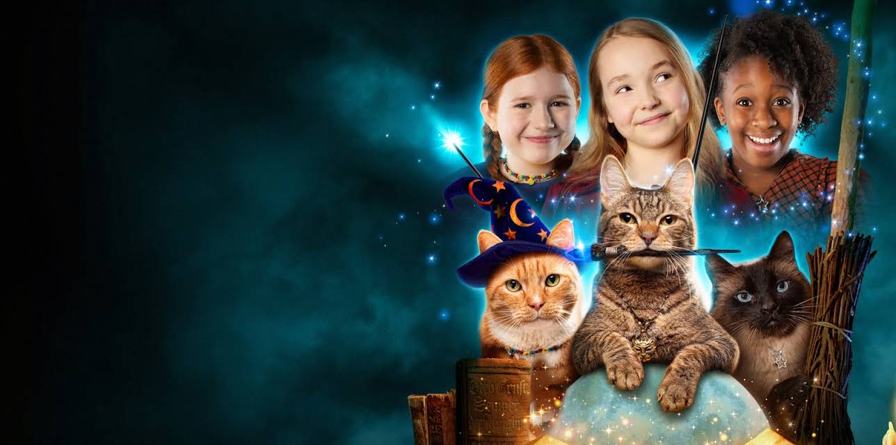 Scaredy Cats