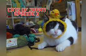 Cats of Japan: The Cats in their Hats