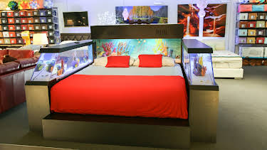 02:30: Tanked (S4 E12) (S4) | Animal Planet | 2/14 2026