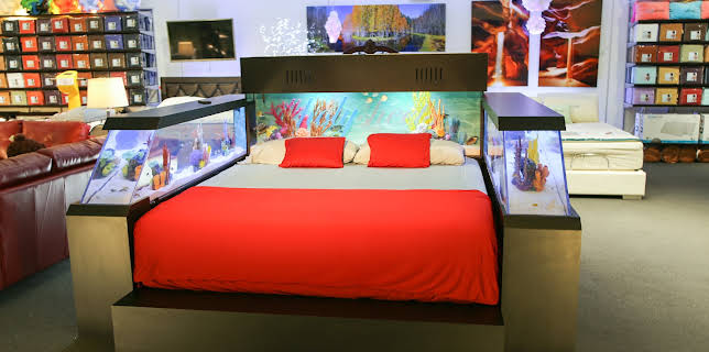 09:25: Akvariedesignerne (S4 E12) (S4) | Animal Planet | 2/12 2026