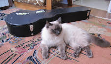 My Cat From Hell (S2 E3)