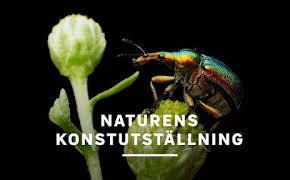 Naturens konstutställning