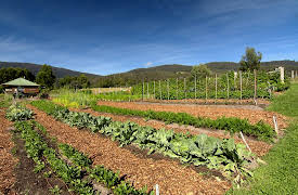 Secrets of Beautiful Gardens: Edible Gardens