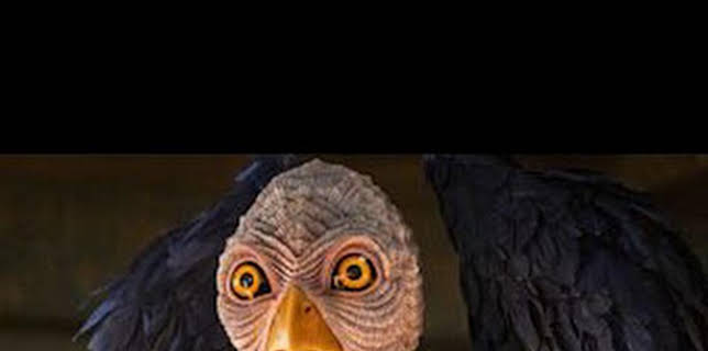 04:18: Resident Alien (T3): Ep.3 141 Segundos | SYFY | 1/9 2026