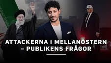 Attackerna i Mellanöstern - publikens frågor