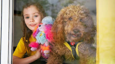 5:20 PM: Waffle the Wonder Dog (S4) | Cbeebies | 4/1 2026